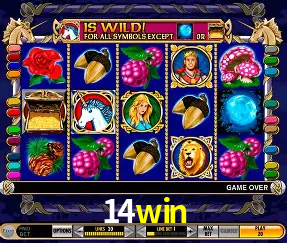 Live Casino 14win